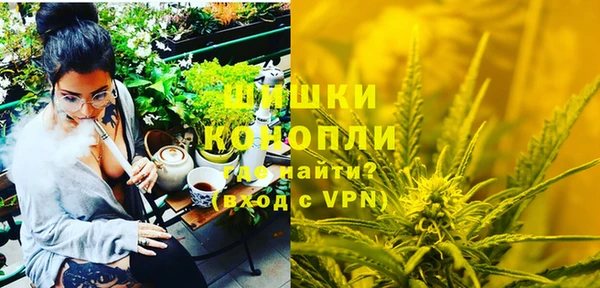 сатива Абинск