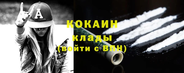 сатива Абинск