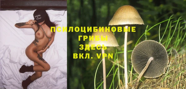сатива Абинск