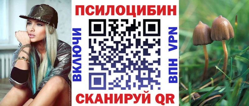 Галлюциногенные грибы GOLDEN TEACHER  Щёкино 